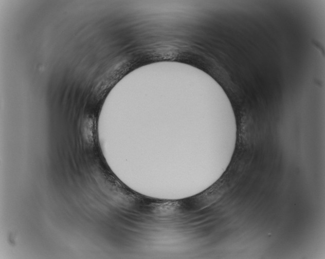 X0000103310122200809261346