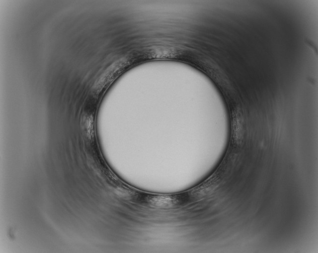 X0000103310123200809261346