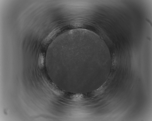 X0000103310124200809261346