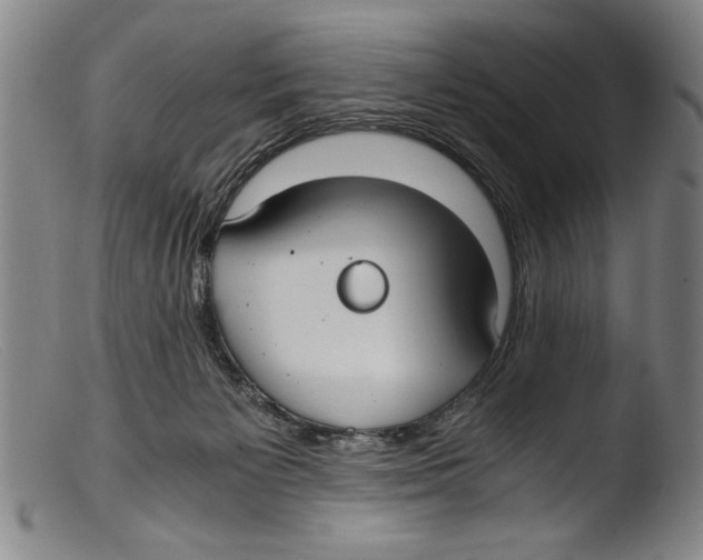 X0000103310125200809261346