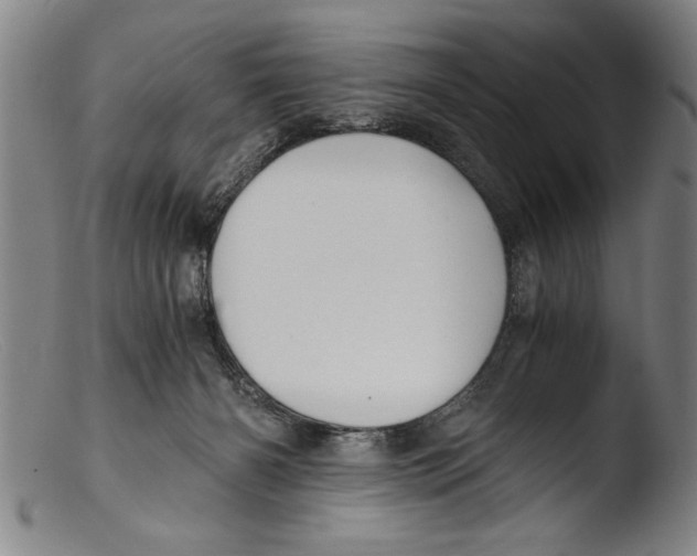 X0000103310126200809261346