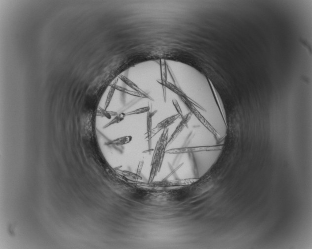 X0000103310127200809261346