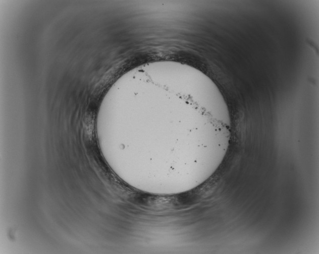 X0000103310129200809261346