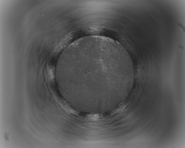 X0000103310131200809261346