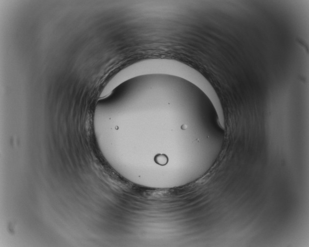 X0000103310132200809261346