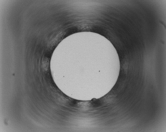 X0000103310133200809261346