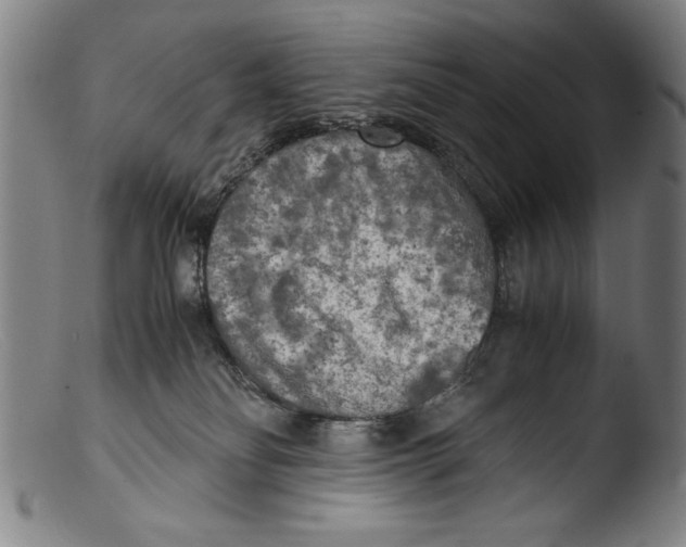 X0000103310134200809261345