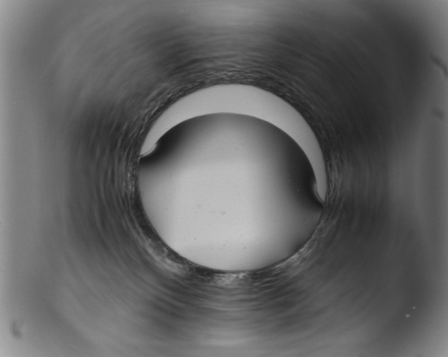 X0000103310136200809261345