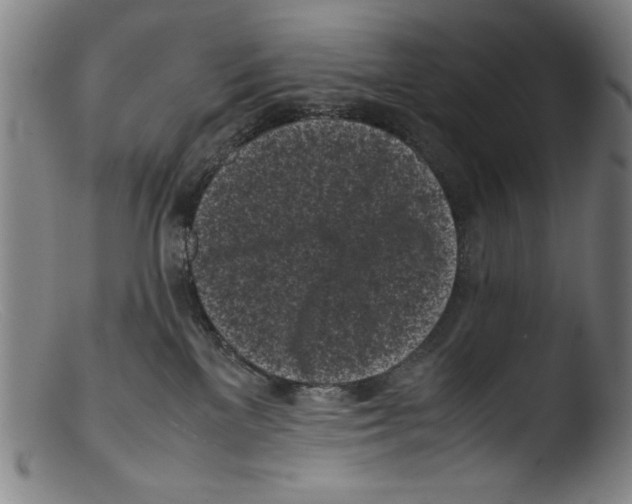 X0000103310137200809261345