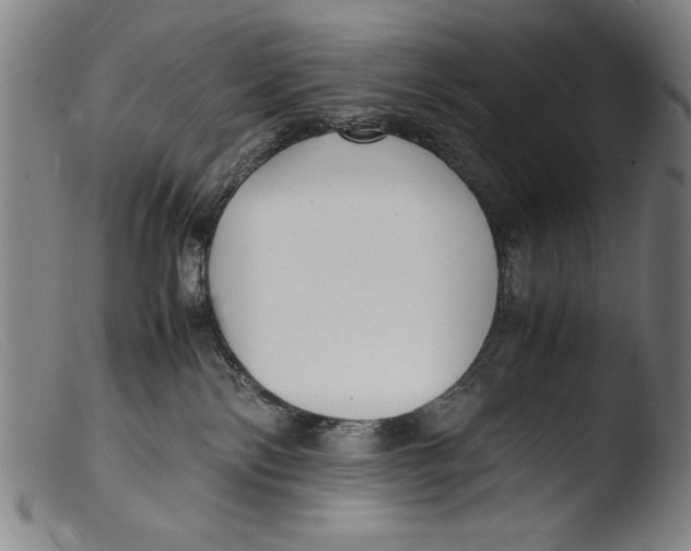 X0000103310138200809261345