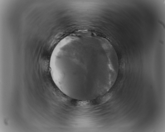 X0000103310139200809261345