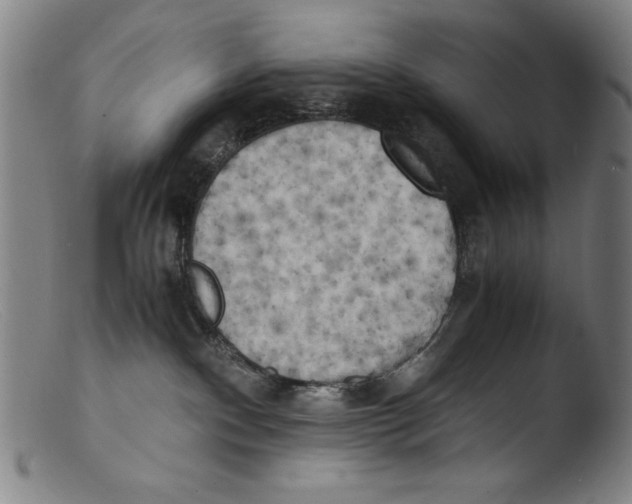 X0000103310140200809261345