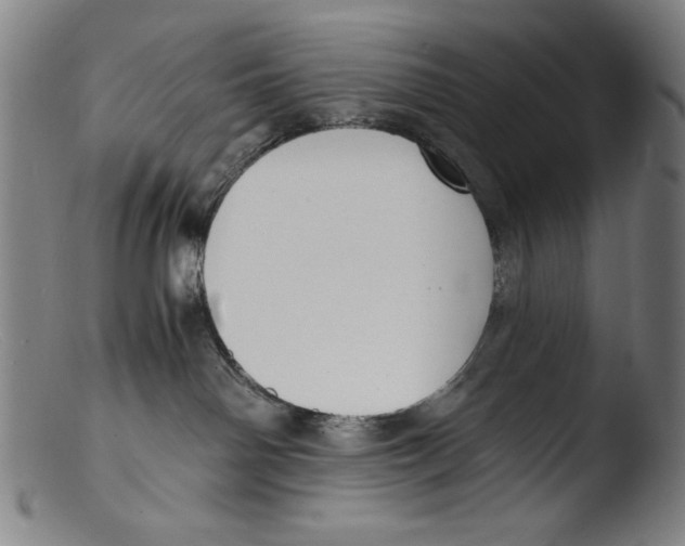 X0000103310142200809261345