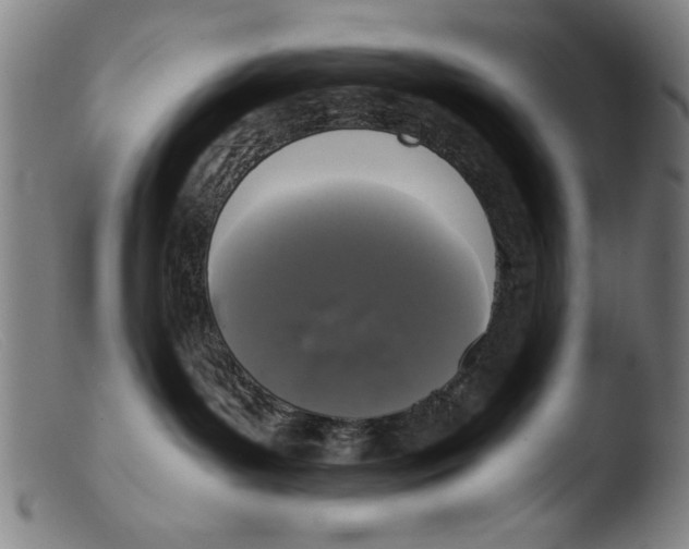 X0000103310143200809261345