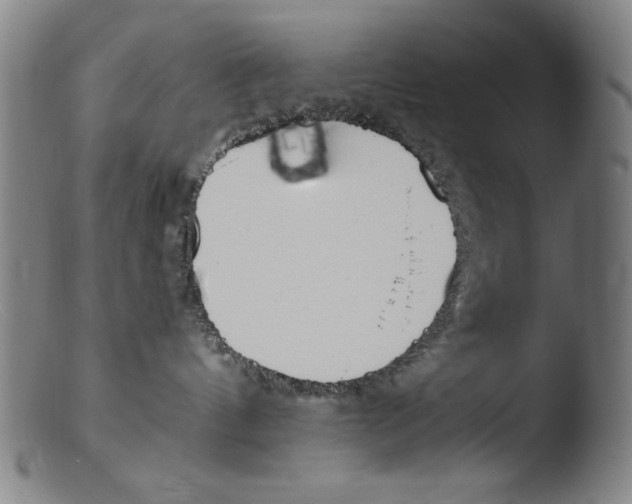 X0000103310144200809261345