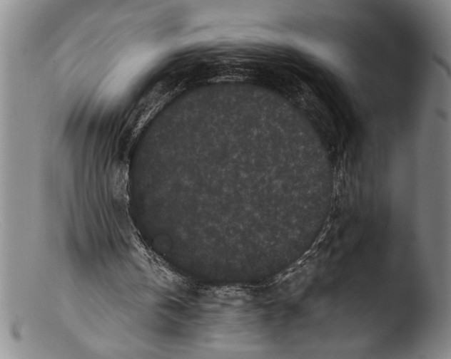 X0000103310146200809261345