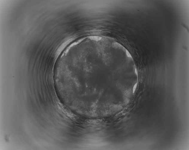 X0000103310147200809261345