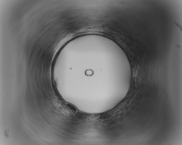 X0000103310148200809261345