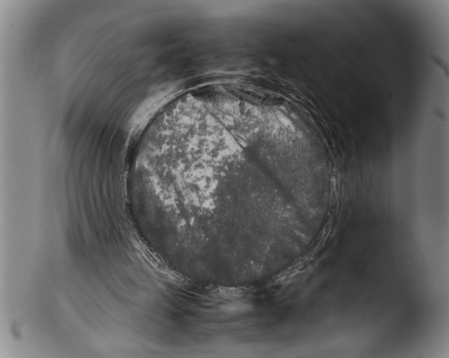 X0000103310149200809261345