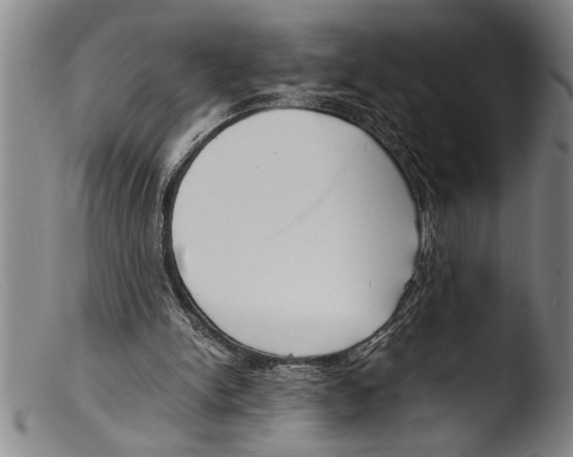 X0000103310150200809261345