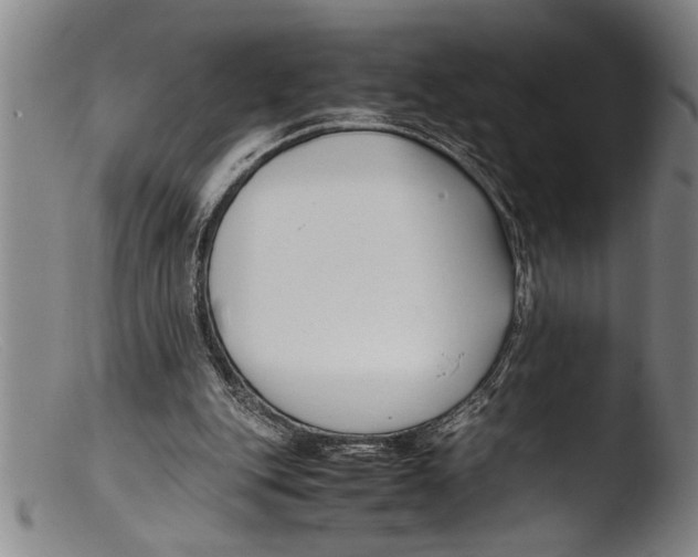 X0000103310151200809261345