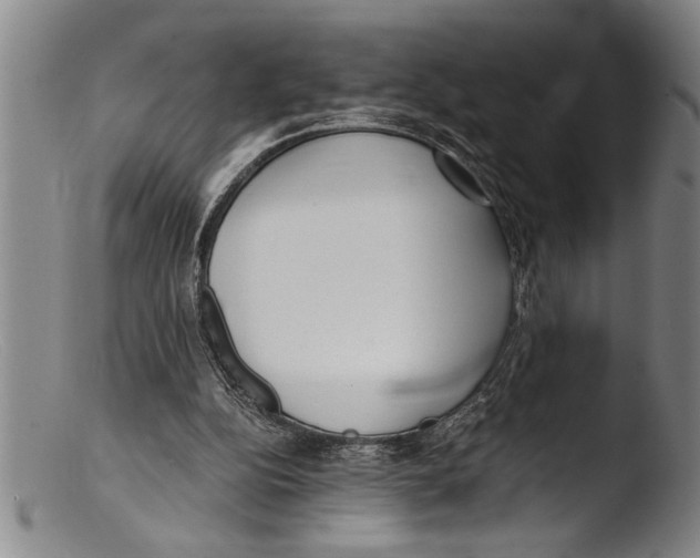 X0000103310152200809261345