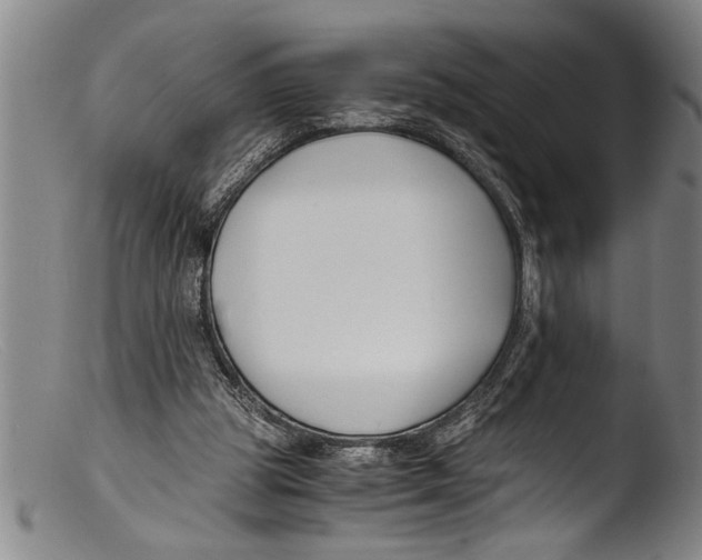 X0000103310153200809261345