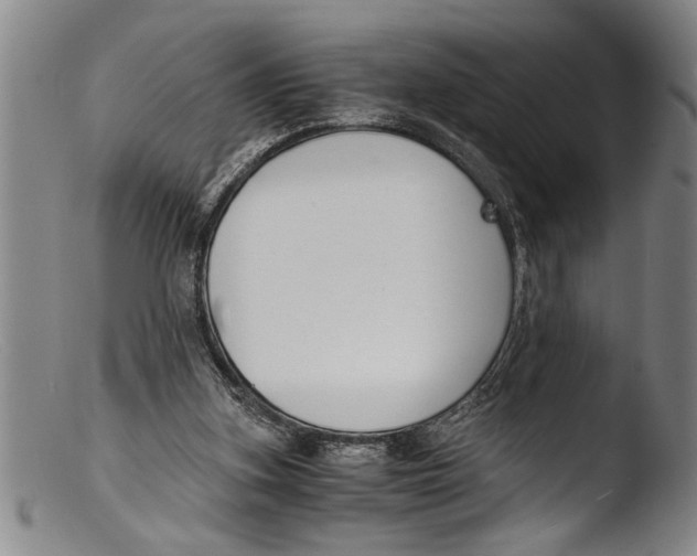 X0000103310155200809261345