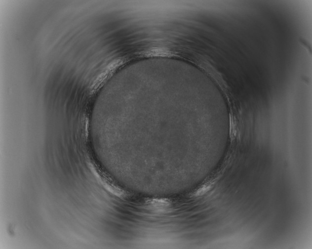 X0000103310157200809261345