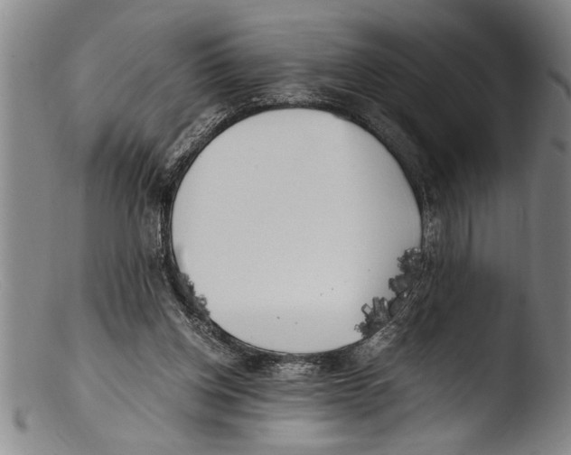 X0000103310158200809261345