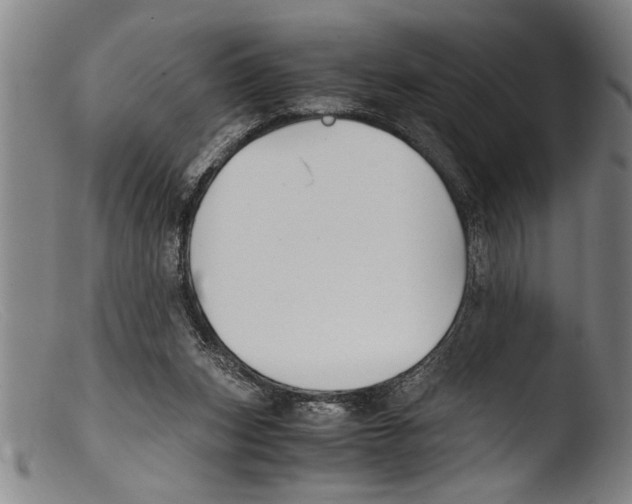 X0000103310159200809261345