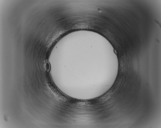 X0000103310160200809261345