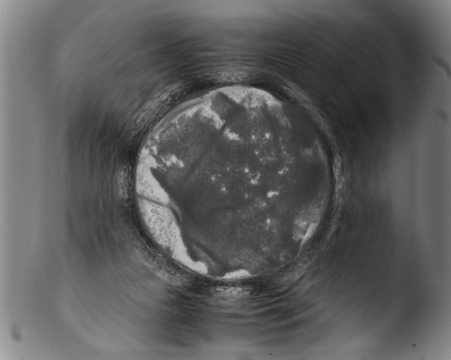 X0000103310161200809261345