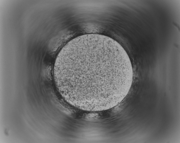 X0000103310162200809261345