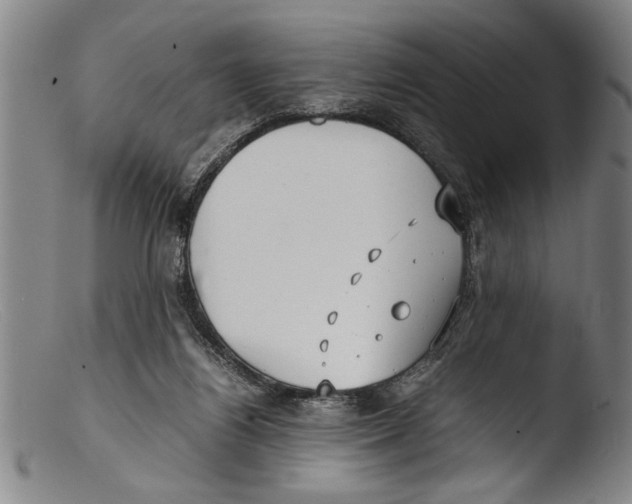 X0000103310164200809261345