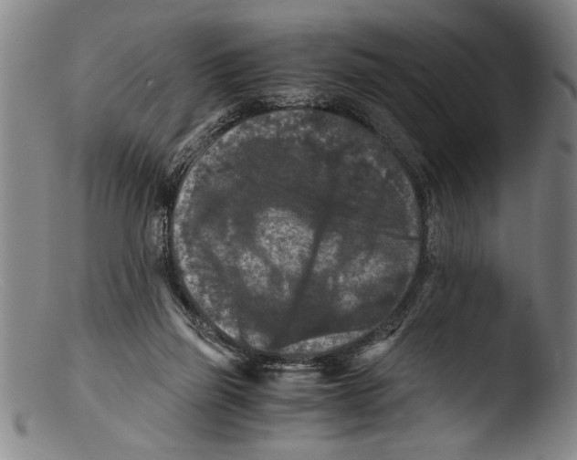 X0000103310165200809261345