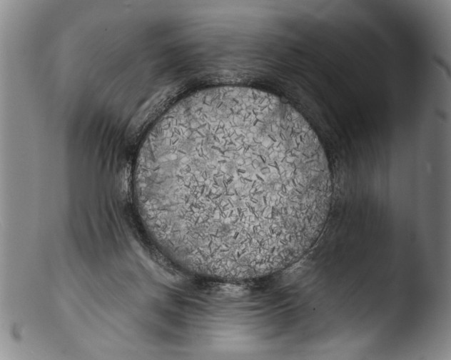 X0000103310166200809261345