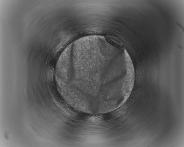 X0000103310168200809261345