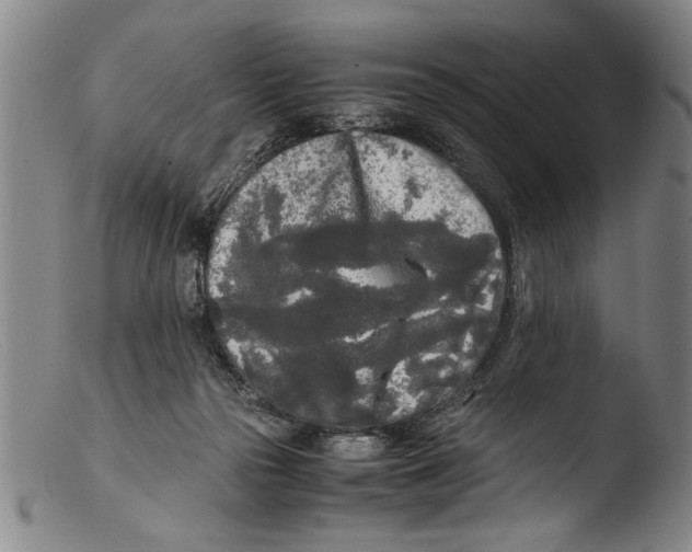 X0000103310169200809261345