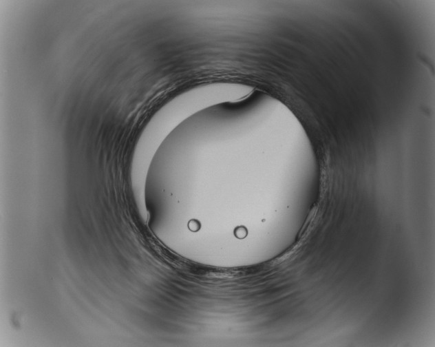 X0000103310170200809261345