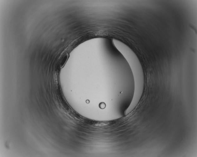 X0000103310172200809261345