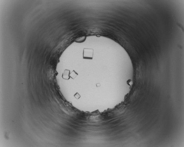 X0000103310173200809261345