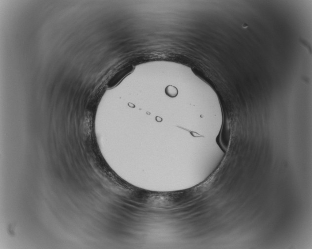 X0000103310174200809261345