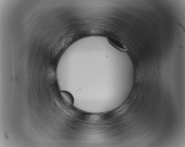 X0000103310176200809261345