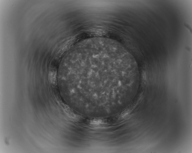 X0000103310177200809261345