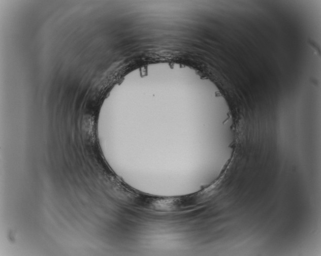 X0000103310178200809261345