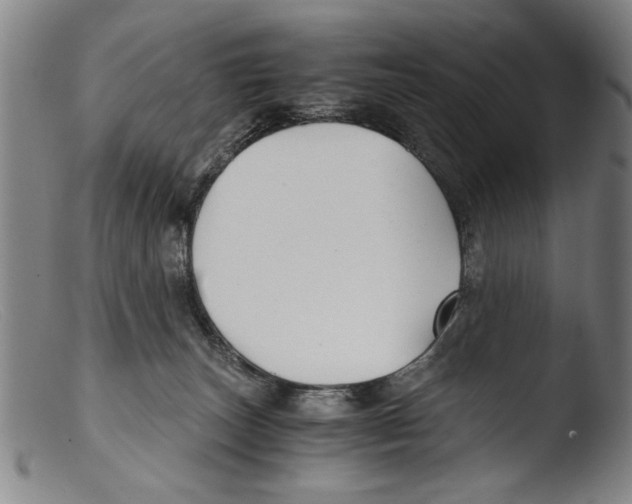 X0000103310179200809261345