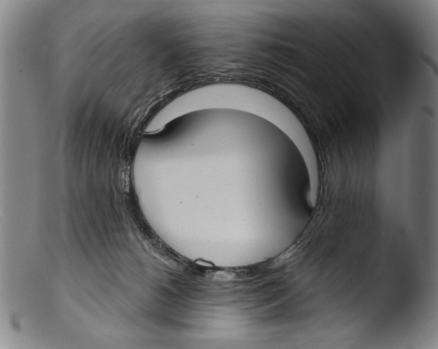 X0000103310180200809261345