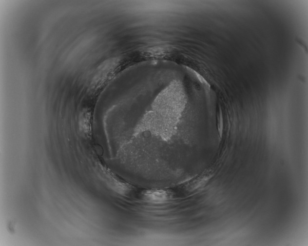 X0000103310181200809261345