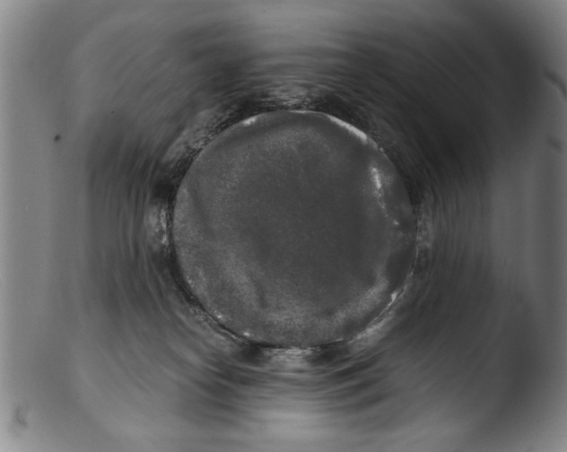 X0000103310182200809261345